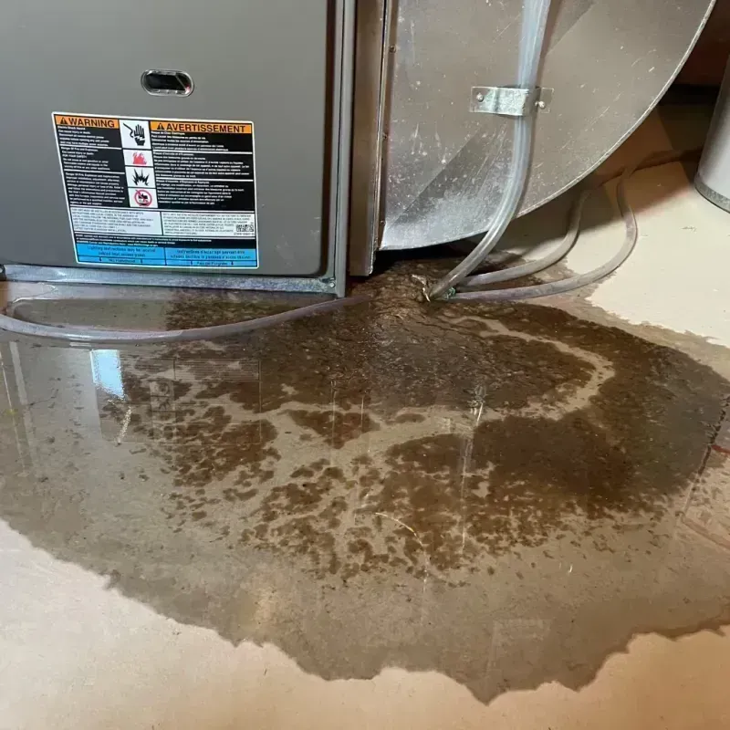 Appliance Leak Cleanup in Bolivar Peninsula, TX